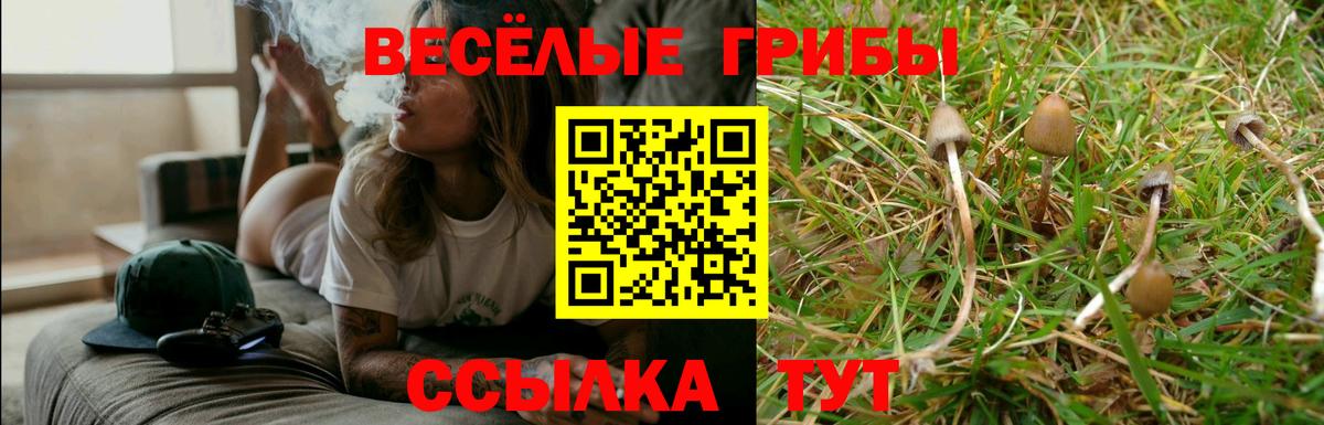 Томск  Псилоцибиновые грибы прущие грибы  Вход с VPN 
